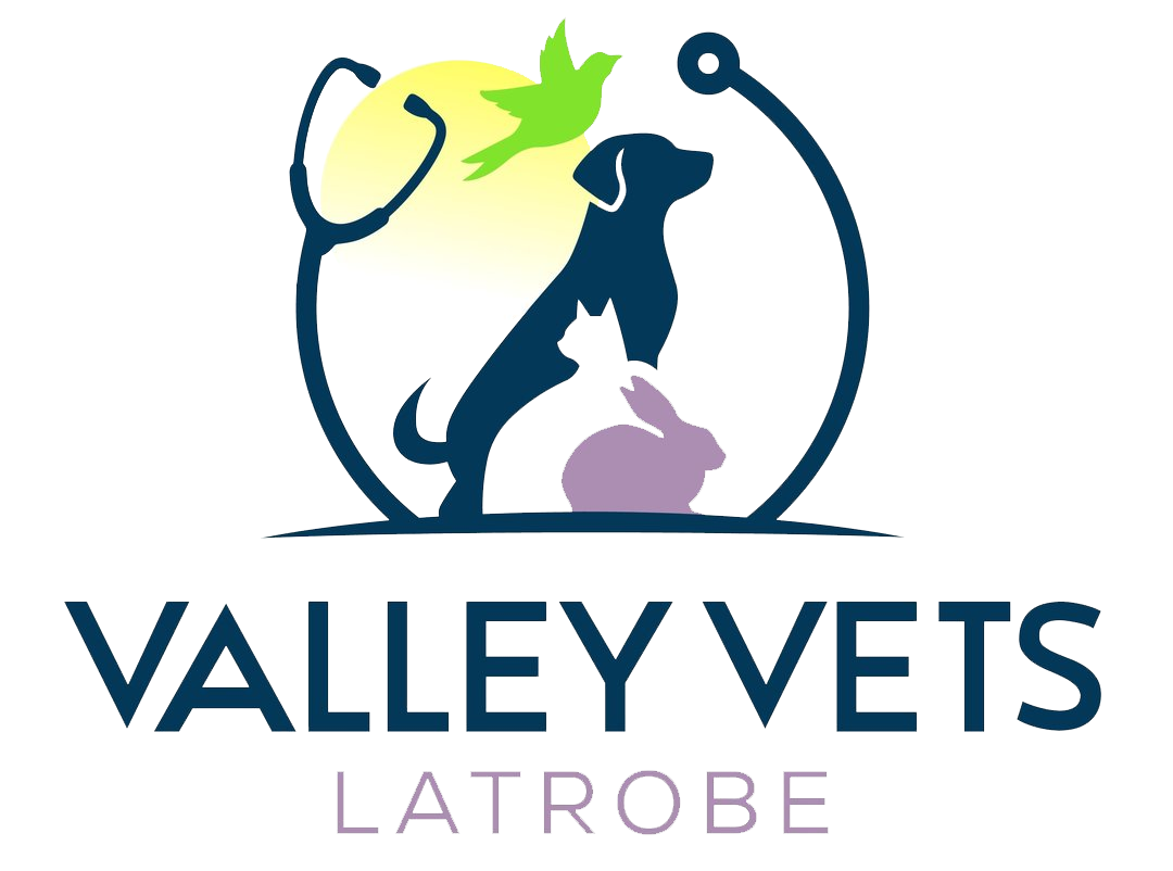 Valley Vets Latrobe
