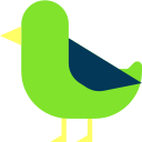 Pet Care Services Latrobe - Bird & Pocket Pet Vet