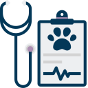 Valley Vets Latrobe - Wellness Checks and Vaccinations