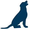Valley Vets Latrobe - Visit Us