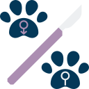 Valley Vets Latrobe - Pet Desexing