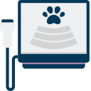 Pet Care Services Latrobe - Imaging & Testing